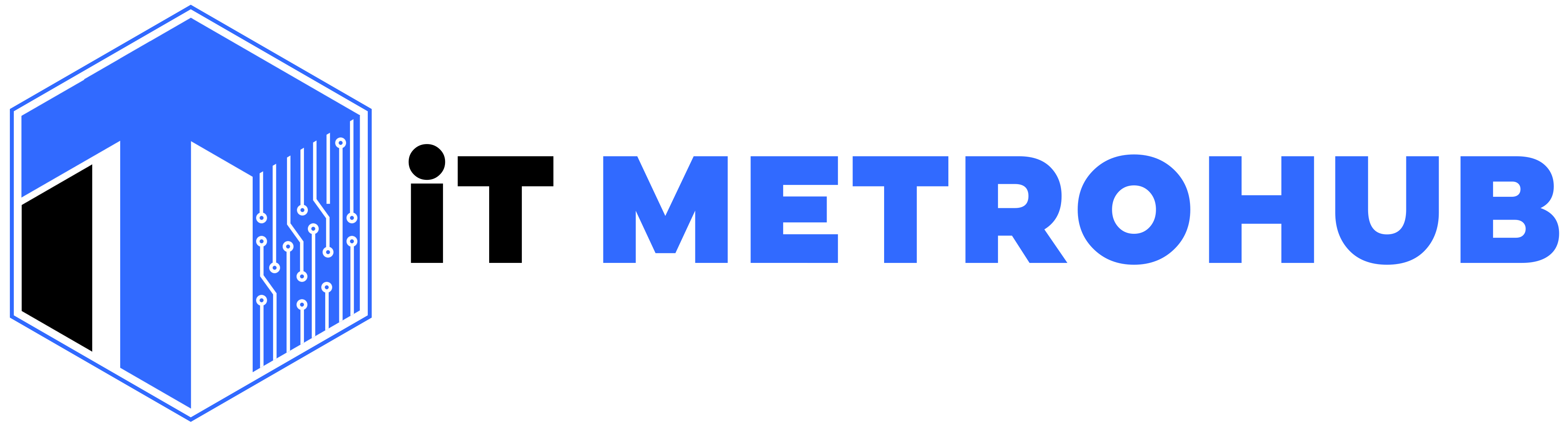 IT Metrohub